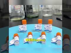 View The influence of temperature and pH value on the use of IVD diagnostic enzymes Demo